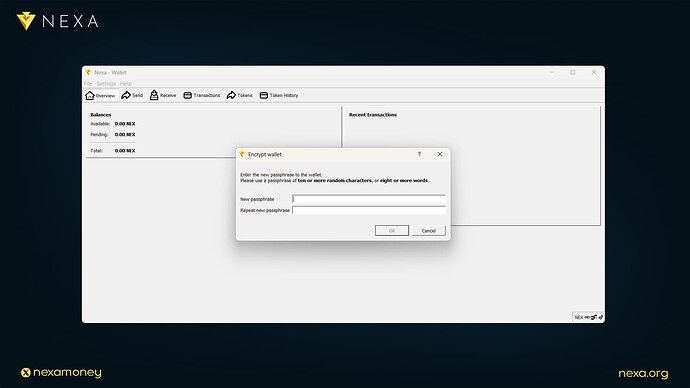 Guide: How To Navigate Nexa Full-Node