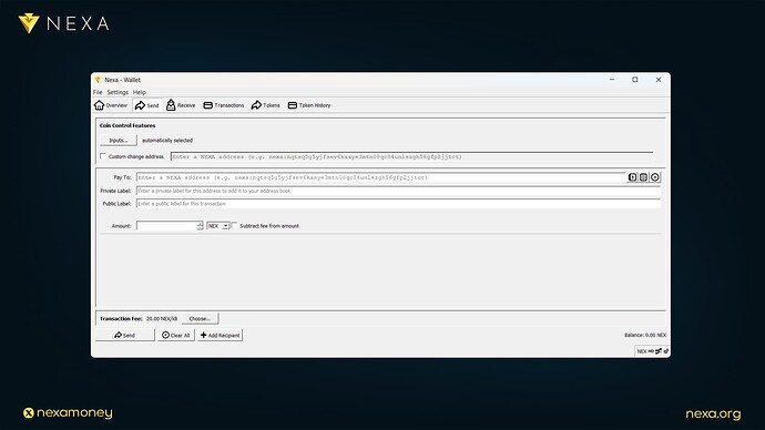 Guide: How To Navigate Nexa Full-Node