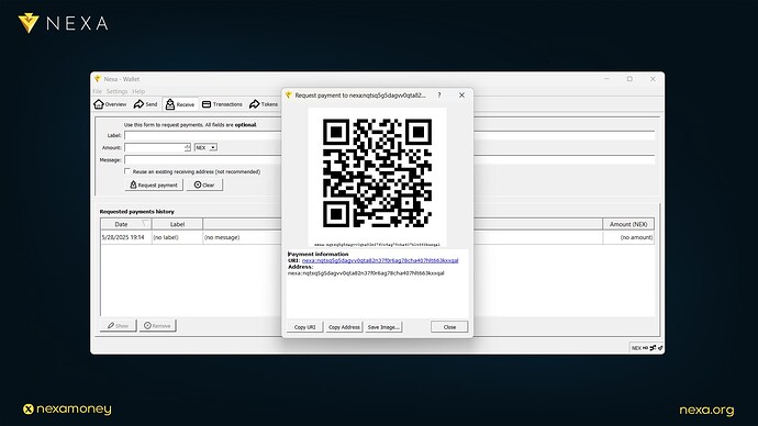 Guide: How To Navigate Nexa Full-Node
