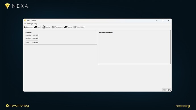 Guide: How To Navigate Nexa Full-Node