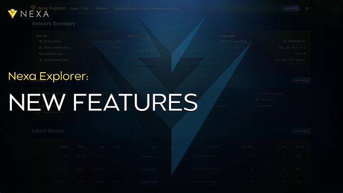 Nexa Explorer: New Features