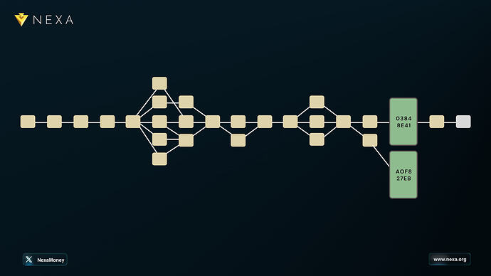 Tailstorm Implementation: Picture 2